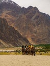 Hunder is a village in Leh district of Ladakh, India famous for Sand dunes, Bactrian camels