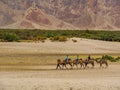 Hunder is a village in Leh district of Ladakh, India famous for Sand dunes, Bactrian camels