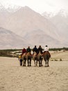 Hunder is a village in Leh district of Ladakh, India famous for Sand dunes, Bactrian camels