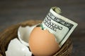 Hundred dollar bill in brown egg shell Royalty Free Stock Photo