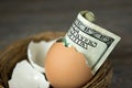 Hundred dollar bill in brown egg shell Royalty Free Stock Photo