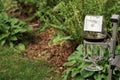 Hundred dollar bill hangs out of red wine glass in garden