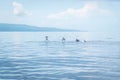 Hundred dolphins Negros Oriental, Philippines