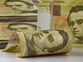 A hundred hryvnia bill. Ukrainian money.