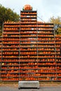 Carved pumpkins line the tower
