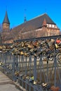 Hundreds of locks Royalty Free Stock Photo
