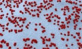 Hundreds of meningitis pathogens called menigococcus Royalty Free Stock Photo