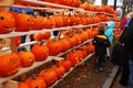 Hundreds of pumpkins line the town square