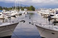 Marina in downtown Vancouver. Hundreds of sailboats, motor boats. In the background the Vancouver harbor Royalty Free Stock Photo