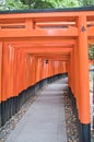 Hundreds of Shrine gates and approach of Fushimi-inari shrine. Kyoto Japan Royalty Free Stock Photo
