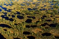 Hundreds of small bog lakes in Estonian peatland