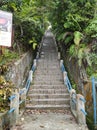hundreds of stairs to the top