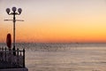 Starlings murmurating at sunset infront next to a pier Royalty Free Stock Photo