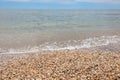 hundreds of thousands of shells on the seashore Royalty Free Stock Photo