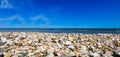 hundreds of thousands of shells on the seashore Royalty Free Stock Photo