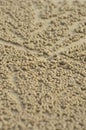 Clusters of tiny sand balls surrounding a crab hole.