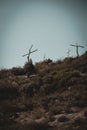 Hundreds of trees where put in a cross shape to commemorate the loss of thousands of forests