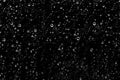 Hundreds of white rain drops on a window with a black background Royalty Free Stock Photo