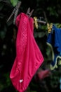Hung pink panties of a thread Royalty Free Stock Photo