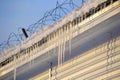 Hung spring icicles