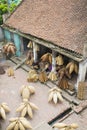 Hung Yen, Vietnam - July 26, 2015: Old house in country with old women weaves bamboo fish trap at Vietnamese traditional crafts vi
