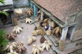 Hung Yen, Vietnam - July 26, 2015: Old house in country with old women weaves bamboo fish trap at Vietnamese traditional crafts vi