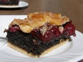 Hungarian cherry and poppy-seed pie Royalty Free Stock Photo