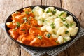 Hungarian Chicken Paprikash features tender braised chicken and a tangy sauce spiced with paprika closeup on a plate. Horizontal Royalty Free Stock Photo