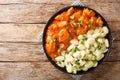 Hungarian Chicken Paprikash features tender braised chicken and a tangy sauce spiced with paprika closeup on a plate. Horizontal Royalty Free Stock Photo