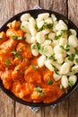 Hungarian chicken paprikash recipe made with boneless chicken breasts simmered in a rich paprika sour cream gravy closeup. Royalty Free Stock Photo