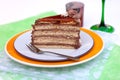 Hungarian chocolate cake Royalty Free Stock Photo