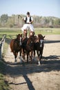 Hungarian csikos in traditional folk costume showing his trained five horses Royalty Free Stock Photo