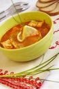 Hungarian fish-soup Royalty Free Stock Photo