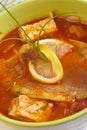 Hungarian fish-soup Royalty Free Stock Photo