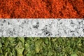 The Hungarian flag from spices