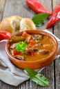 Hungarian goulash soup