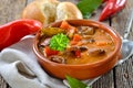 Hungarian goulash soup Royalty Free Stock Photo