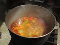 Hungarian goulash soup in a pot Royalty Free Stock Photo