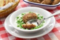 Hungarian green peas stew and fried meatball Royalty Free Stock Photo
