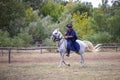 Hungarian herdsman - \