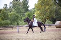 Hungarian herdsman - \