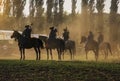 Hungarian horseman ride five horses. He wears the traditional Hungarian national costume for the horse show