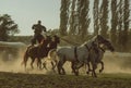 Hungarian horseman ride five horses. He wears the traditional Hungarian national costume for the horse show