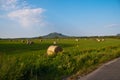 Hungarian landscape Royalty Free Stock Photo