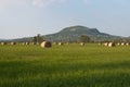 Hungarian landscape with hay meadow Royalty Free Stock Photo