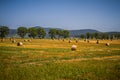 Hungarian landscape, large fields with hay Royalty Free Stock Photo