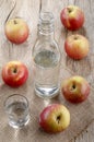 Hungarian palinka made from apple Royalty Free Stock Photo