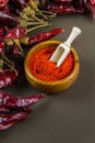 Hungarian paprika in wooden bowl with scoop Royalty Free Stock Photo