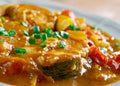 Hungarian paprikash Royalty Free Stock Photo