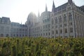 Hungarian Parliament is surrounded by an autumn park. Royalty Free Stock Photo